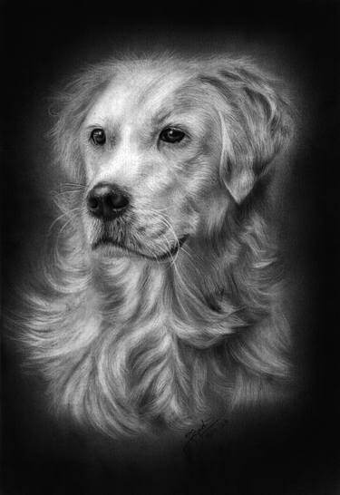 Print of Fine Art Dogs Drawings by Prabath Zoysa